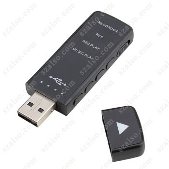 SK-893 USB Digital Voice Recorder